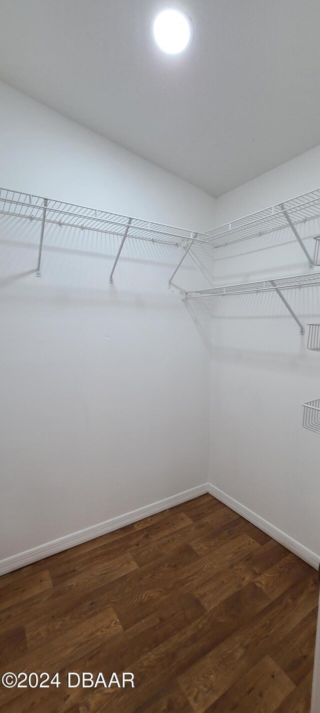 walk in closet with dark wood-type flooring