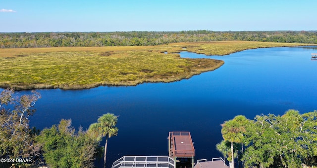 3 Tomoka View Dr, Ormond Beach, FL 32174 - aerial view of a large body of water and a forest