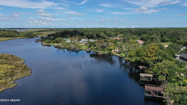 3 Tomoka View Dr, Ormond Beach, FL 32174 - aerial view of a large body of water and a heavily wooded area