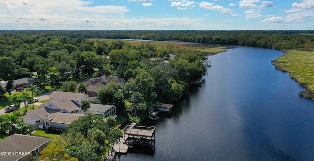 3 Tomoka View Dr, Ormond Beach, FL 32174 - drone / aerial view of a nearby body of water and a forest