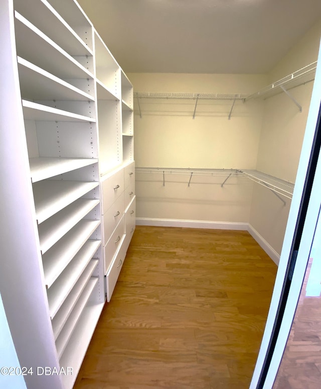 3 Tomoka View Dr, Ormond Beach, FL 32174 - walk in closet with light wood-style flooring