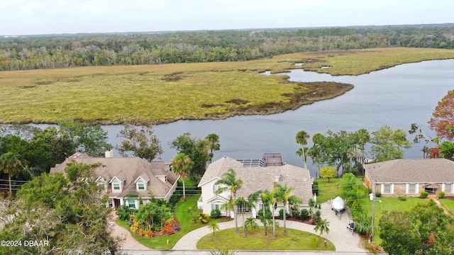 3 Tomoka View Dr, Ormond Beach, FL 32174 - bird's eye view of a large body of water and a heavily wooded area