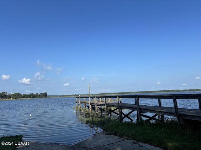 25156 NE 143rd Pl, Salt Springs, FL 32134 - photo 7