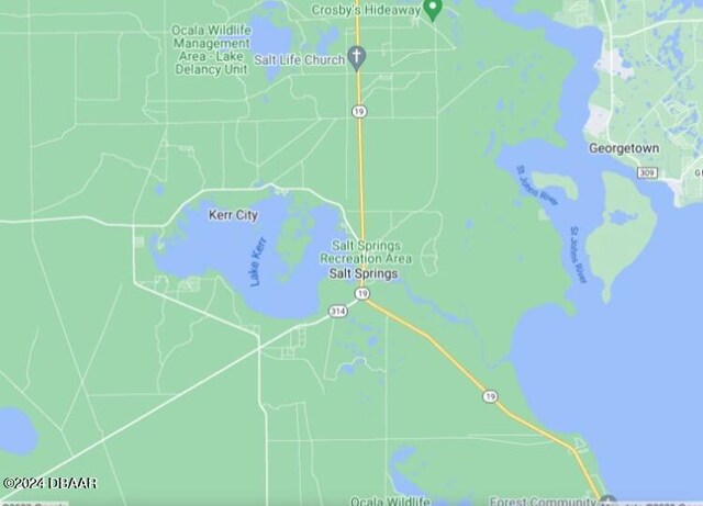 25156 NE 143rd Pl, Salt Springs, FL 32134 - photo 13