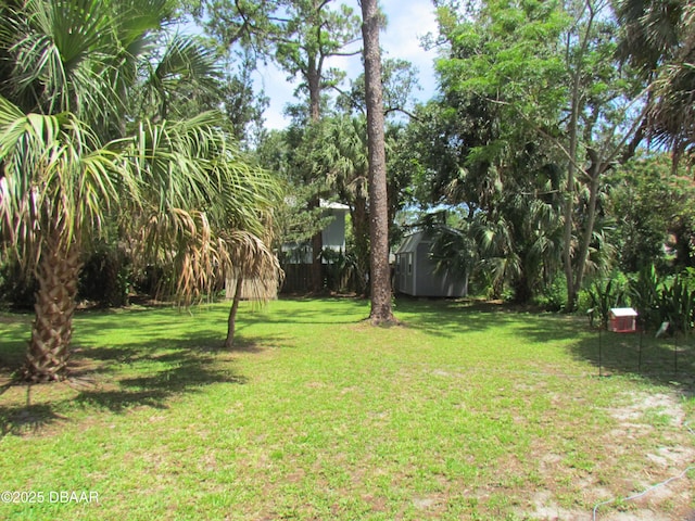 33 Hernandez Ave, Ormond Beach, FL 32174 - view of green lawn with a storage shed
