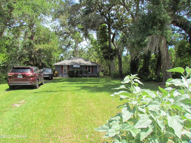 33 Hernandez Ave, Ormond Beach, FL 32174 - view of grassy yard
