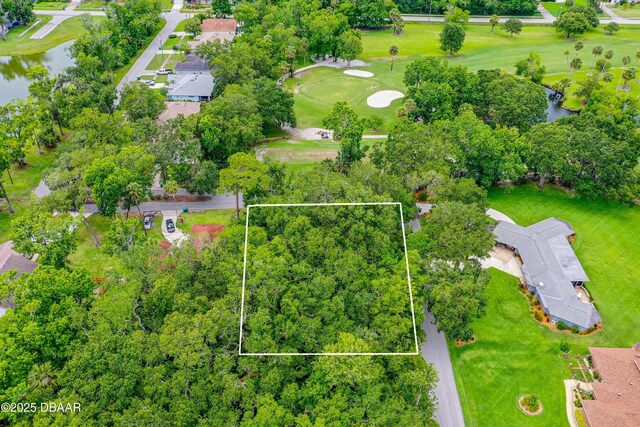 1 Timber Trl, Holly Hill, FL 32174 - photo 4