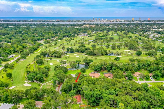 1 Timber Trl, Holly Hill, FL 32174 - photo 5