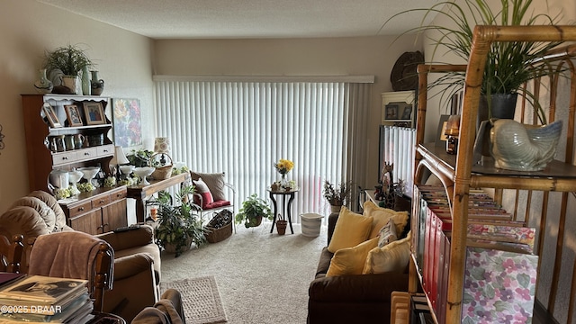 sitting room with carpet and a textured ceiling