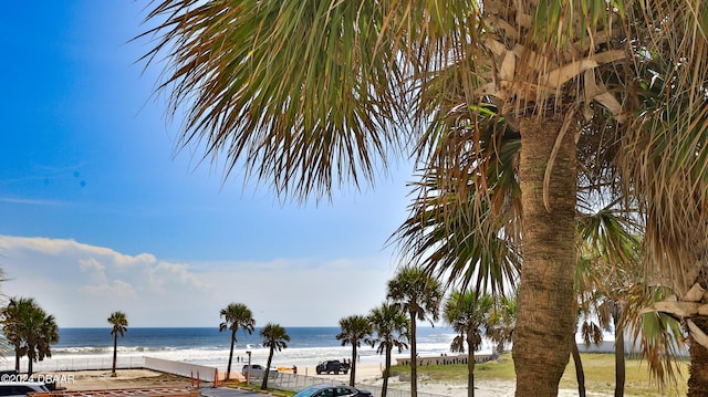 935 S Atlantic Ave Unit 206, Daytona Beach, FL 32118 - photo 19