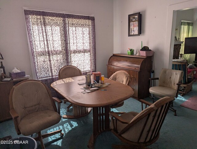 600 5th Ave, Daytona Beach, FL 32118 - dining room with carpet