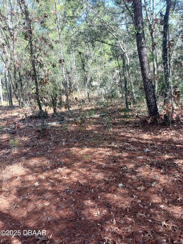 LOT11 Lake Lucy Cir, Interlachen FL, 32148 land for sale