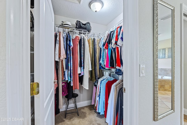 spacious closet featuring carpet