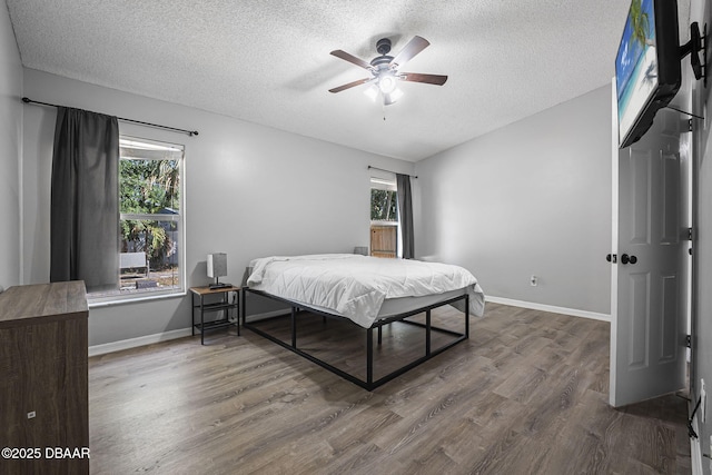bedroom featuring multiple windows, a textured ceiling, and wood finished floors