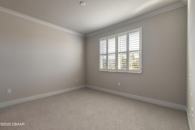 empty room featuring carpet flooring and ornamental molding