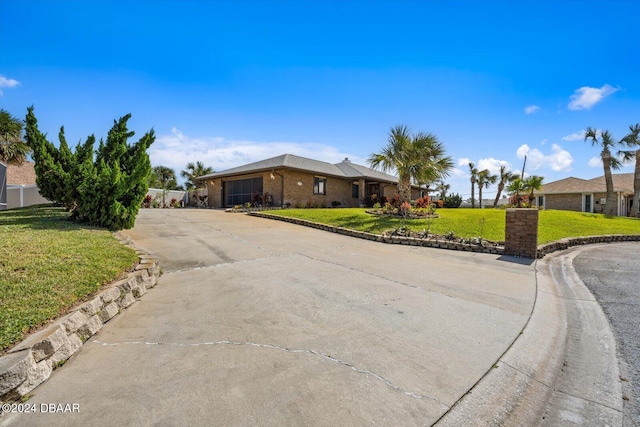 ranch-style house featuring a front yard