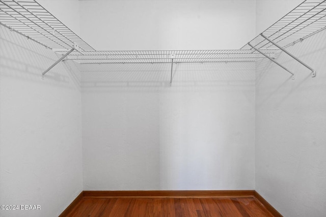 walk in closet with wood-type flooring