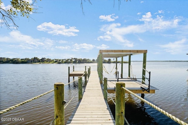 dock area with a water view