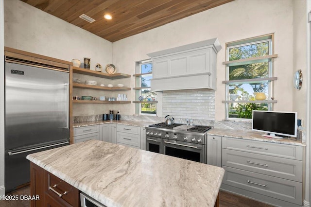 kitchen with backsplash, high end appliances, premium range hood, and a wealth of natural light