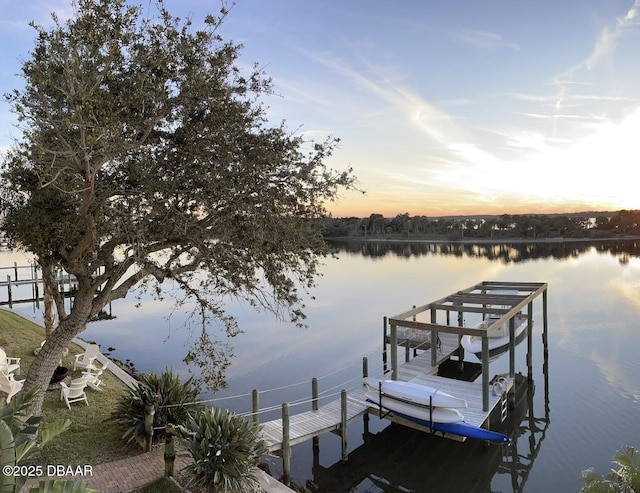 dock area featuring a water view