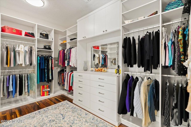 3212 John Anderson Dr, Ormond Beach, FL 32176 - spacious closet featuring wood finished floors