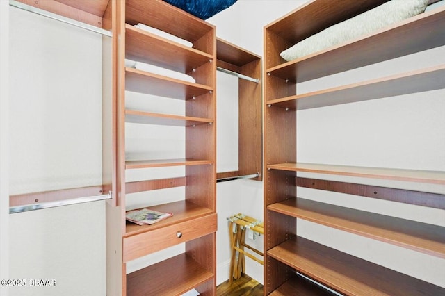 walk in closet with dark wood-type flooring