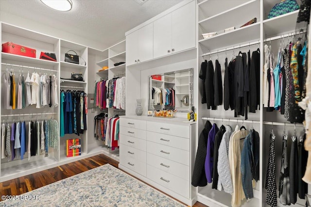 walk in closet with wood finished floors