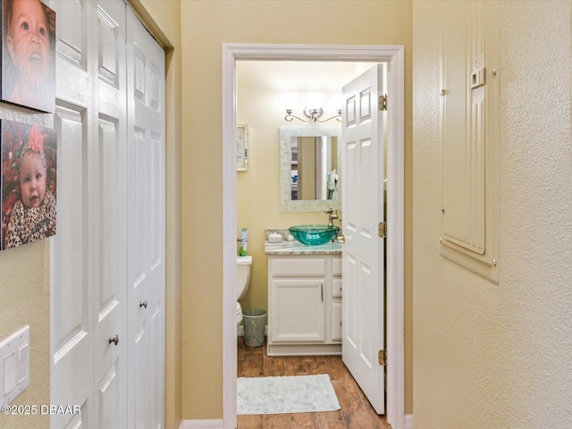 bathroom featuring wood finished floors, a closet, toilet, and vanity