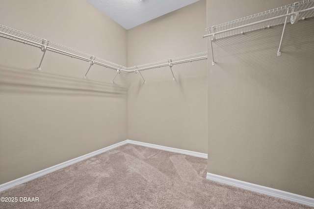 5648 NW 40th Loop, Ocala, FL 34482 - photo 20