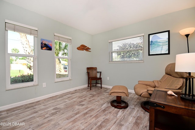 22 Sand Dune Dr, New Smyrna Beach, FL 32169 - living area featuring plenty of natural light and light wood-style flooring