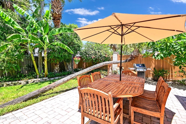 22 Sand Dune Dr, New Smyrna Beach, FL 32169 - fenced backyard featuring a patio area, outdoor dining space, and area for grilling