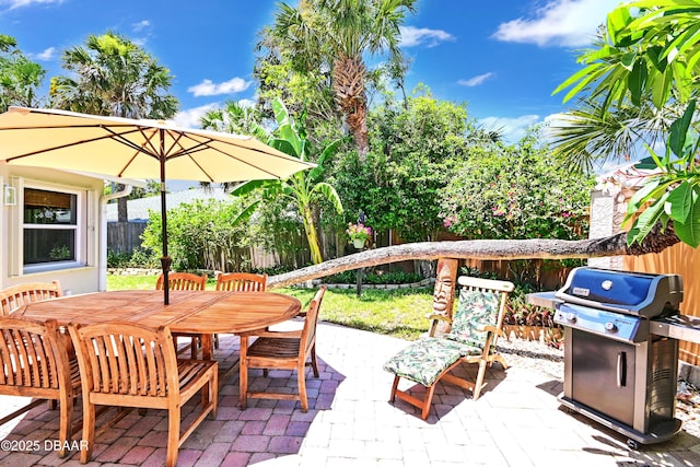 22 Sand Dune Dr, New Smyrna Beach, FL 32169 - fenced backyard with grilling area, outdoor dining space, and a patio