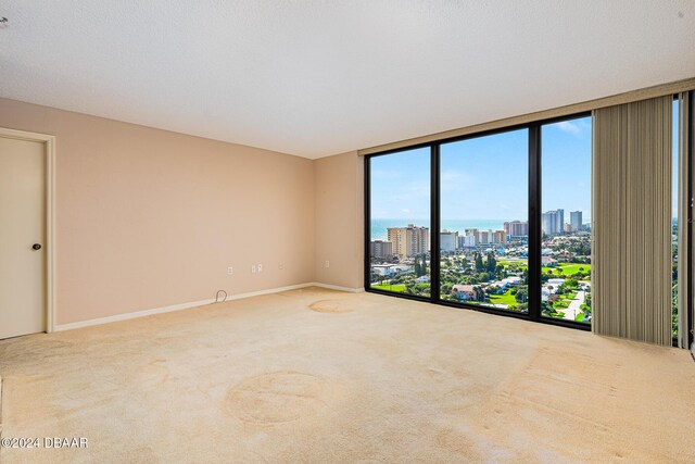 carpeted spare room with floor to ceiling windows