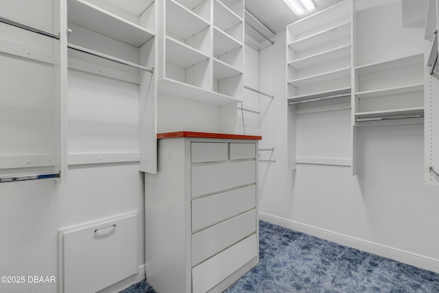 spacious closet with carpet floors