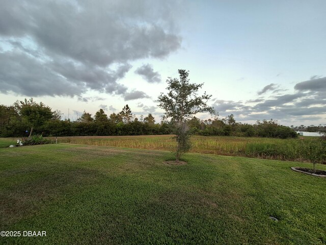 3107 Crab Trap Dr, New Smyrna Beach, FL 32168 - view of grassy yard