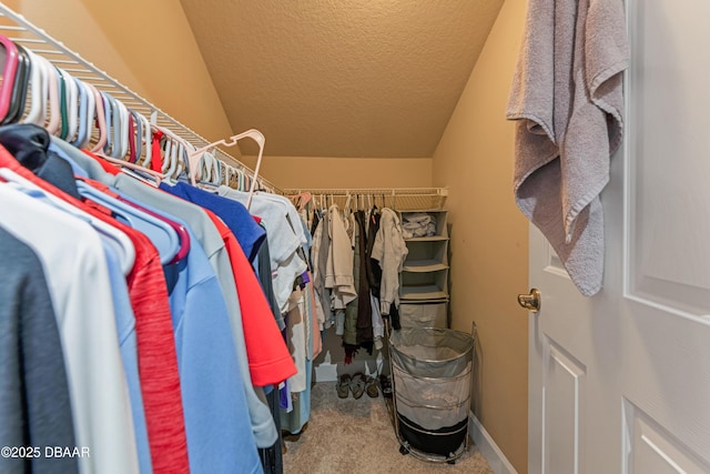 walk in closet with carpet flooring