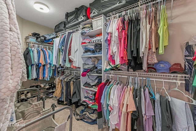 walk in closet with carpet