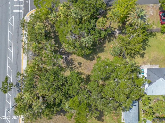 0 Ballough Rd, Daytona Beach, FL 32114 - photo 13