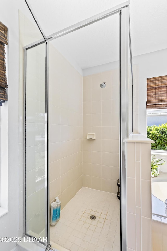 full bathroom featuring a shower stall