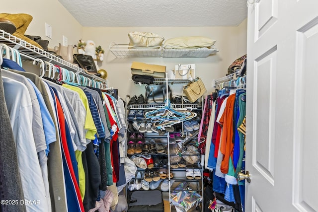 view of walk in closet