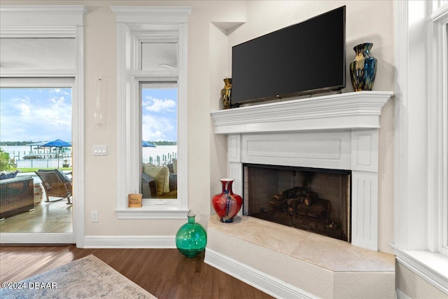 living room with a water view, hardwood / wood-style floors, and plenty of natural light