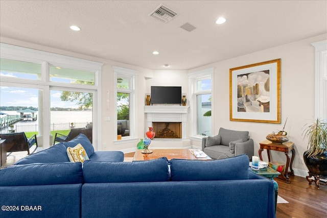 living room featuring hardwood / wood-style flooring and a healthy amount of sunlight