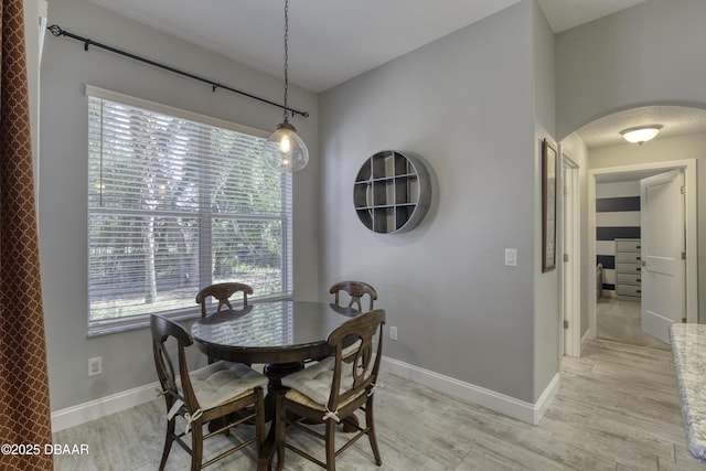 dining room with light hardwood / wood-style floors