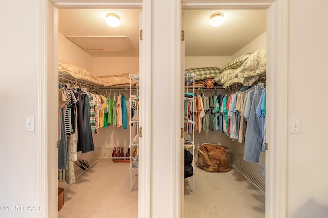 7 Fernery Trl, Ormond Beach, FL 32174 - walk in closet with carpet floors and attic access