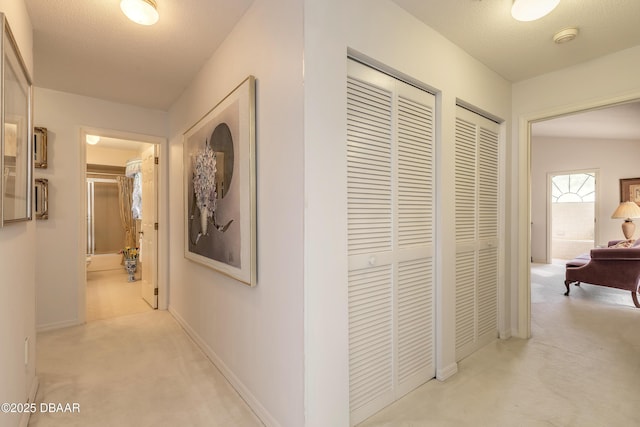 7 Fernery Trl, Ormond Beach, FL 32174 - corridor with light carpet and baseboards