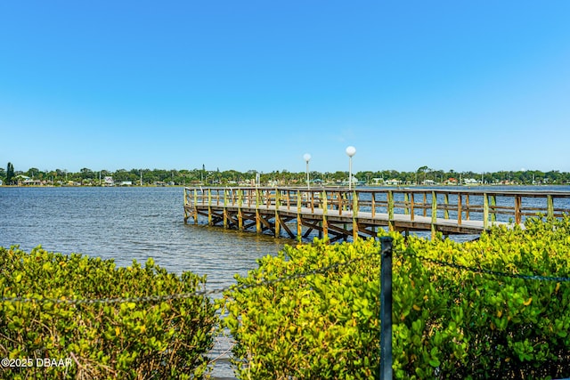 dock area with a water view