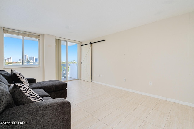 living room featuring a barn door