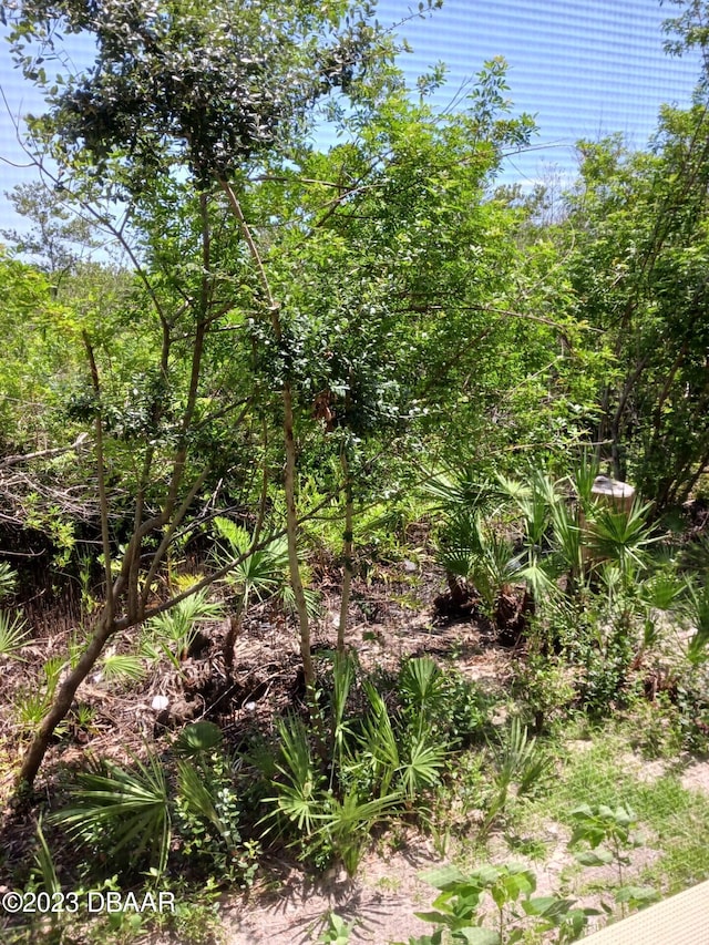 1401 S Palmetto Ave Unit 811, Daytona Beach, FL 32114 - view of nature