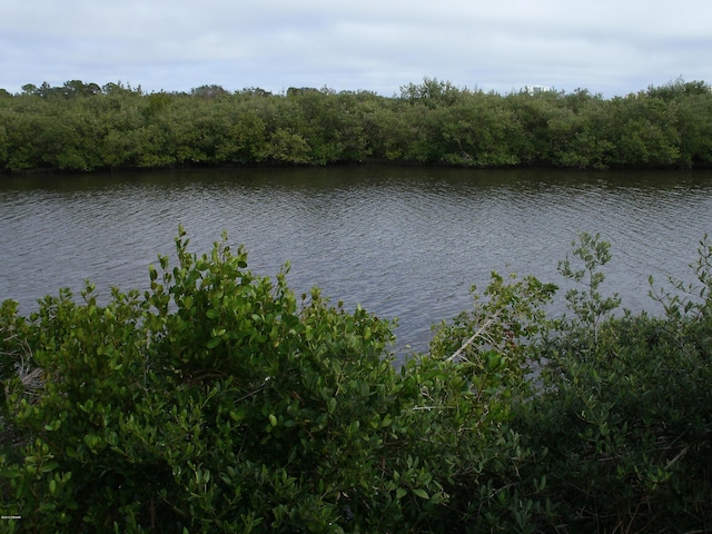 1401 S Palmetto Ave Unit 811, Daytona Beach, FL 32114 - water view