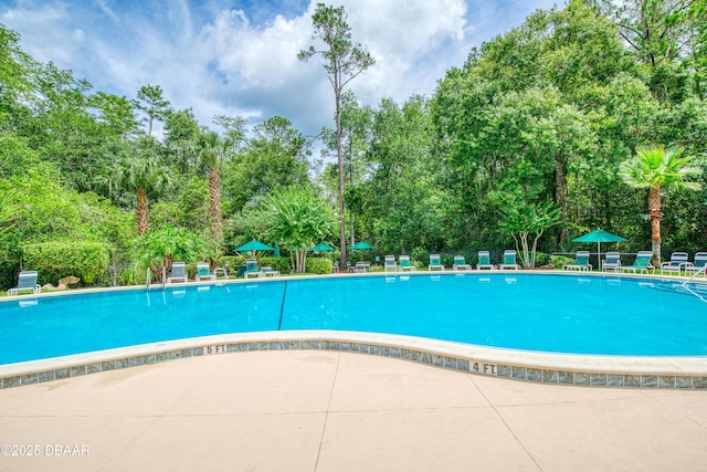 47 Abacus Ave, Ormond Beach, FL 32174 - community pool with view of wooded area
